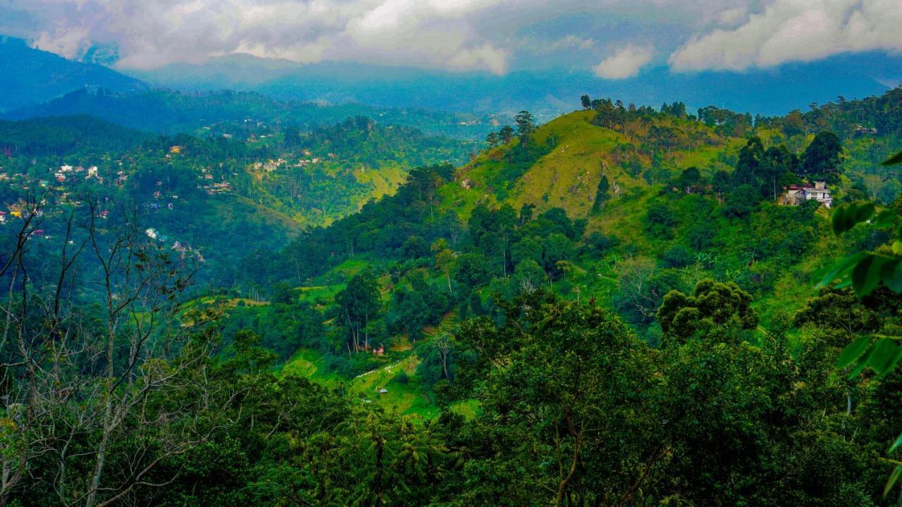 إيلا Shining Green View المظهر الخارجي الصورة